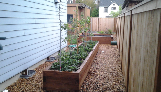 Narrow raised garden bed