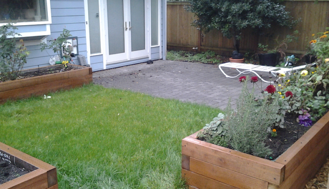 Garden boxes and kitchen garden