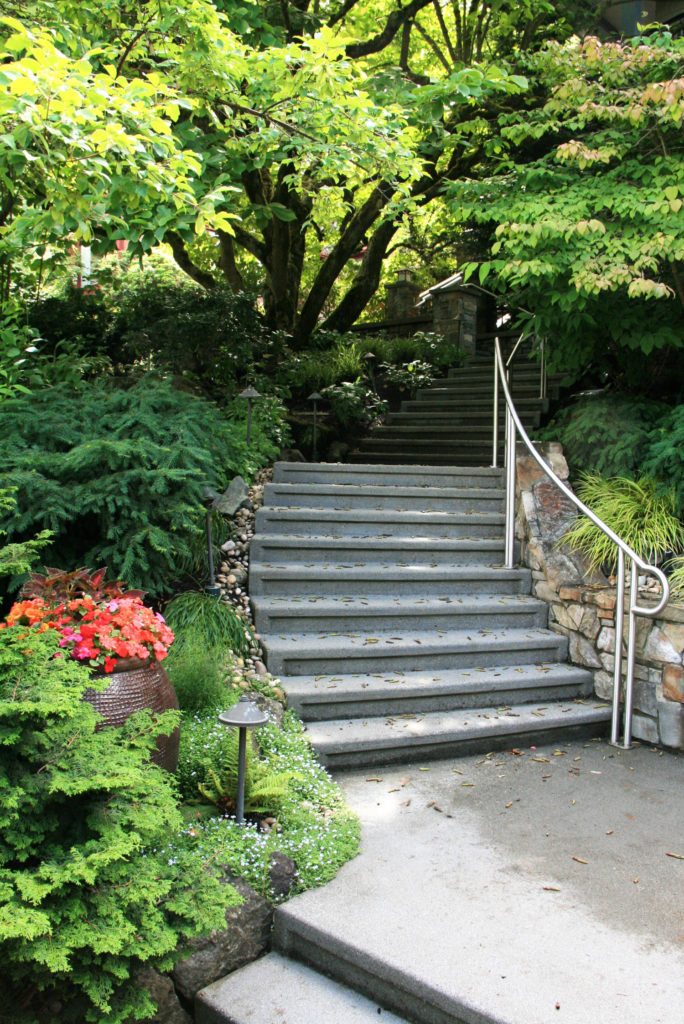 Planted stair way and pots