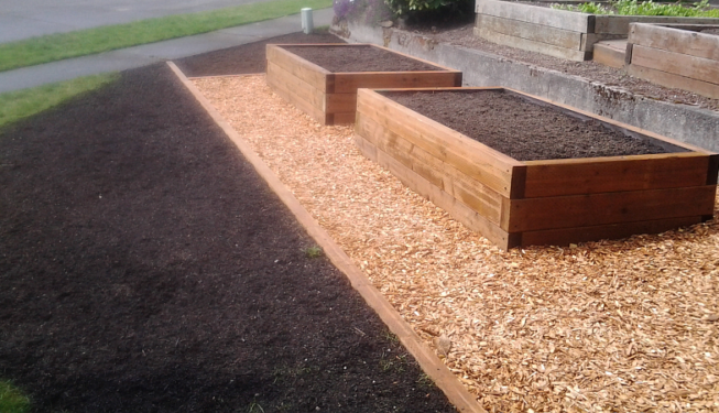 Garden boxes ready to plant