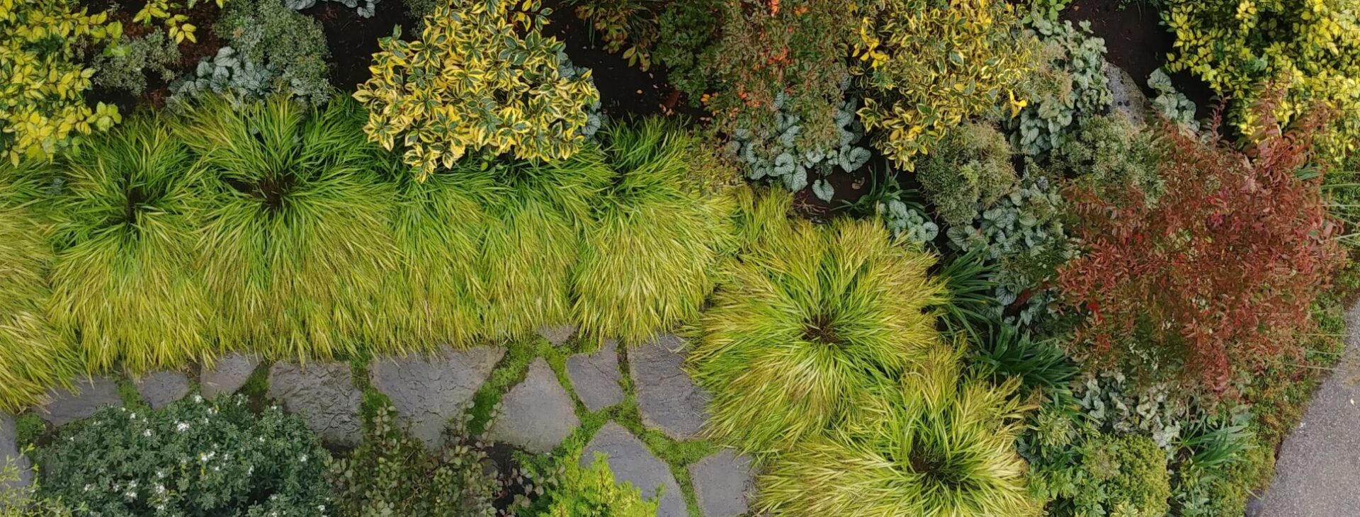 Landscape.
Environmental.
Public.